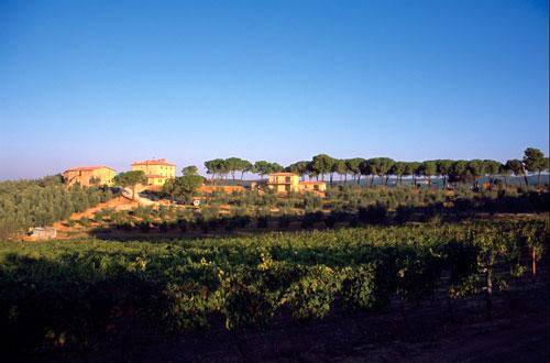 Villa Il Tesoro มัสซามาริตติมา ภายนอก รูปภาพ